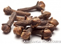 Гвоздика (пряность): полезные свойства и противопоказания